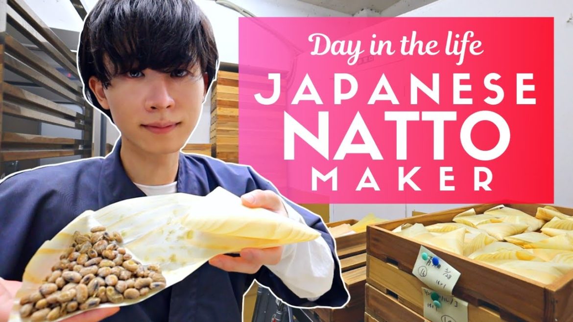 Day in the Life of a Japanese Natto Maker Day in the Life of a Japanese Natto Maker