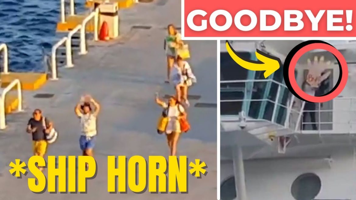 Funniest Pier Runner Drama | Angry Passengers Missing Cruise Ships Funniest Pier Runner Drama | Angry Passengers Missing Cruise Ships