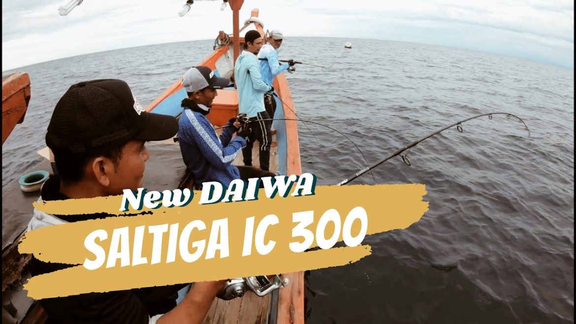 Reel Daiwa Saltiga IC 300 dan Rod Picolo Forte pe 0,8-2 langsung amisβββπ₯π₯π₯ Reel Daiwa Saltiga IC 300 dan Rod Picolo Forte pe 0,8-2 langsung amisβββπ₯π₯π₯