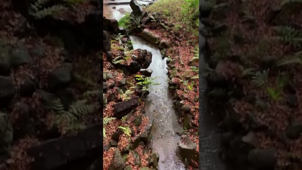 Best Places to Visit in Japan  #shorts #travel #amazing #tokyo #japan