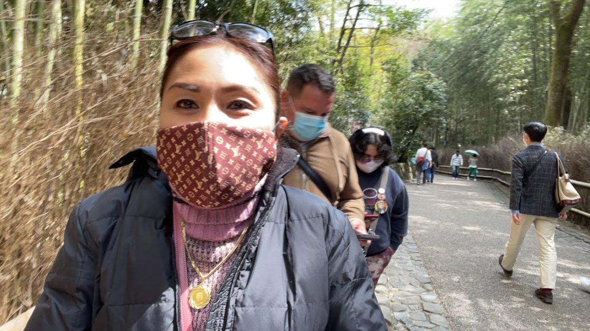 Travel Vlog # 4: Trip To Bamboo Forest, Kyoto, Japan.🇯🇵