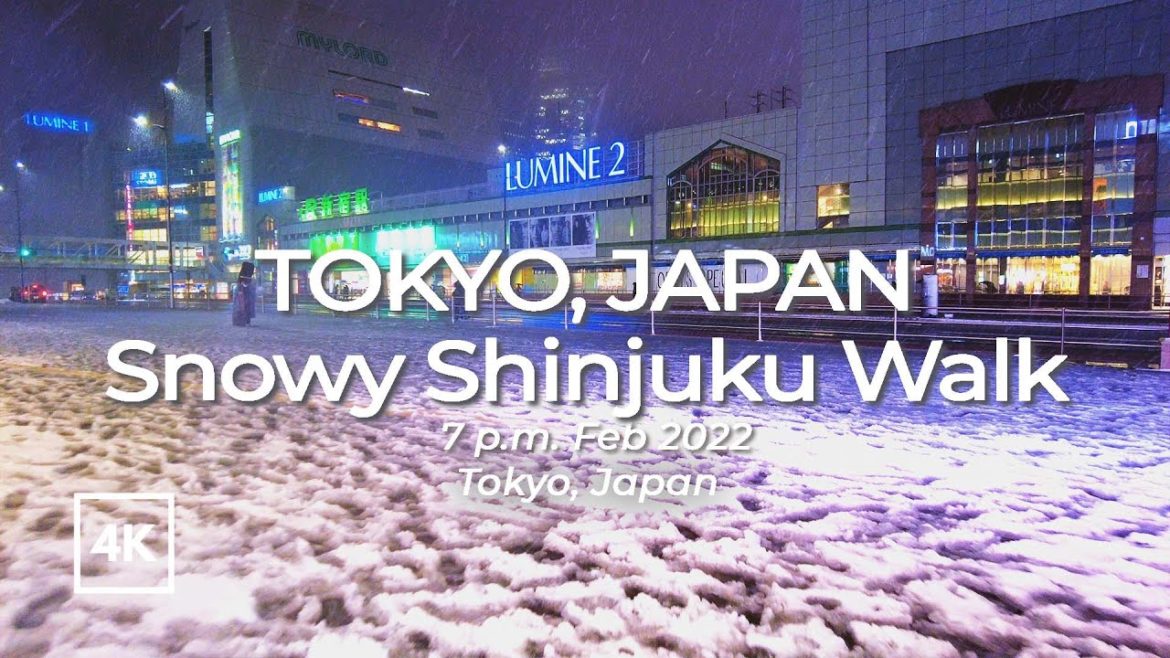 [4K] Japan walk tour| Snow in Shinjku | Snowfall Tokyo | Feb 2022 |東京2022年2月10日の大雪 新宿