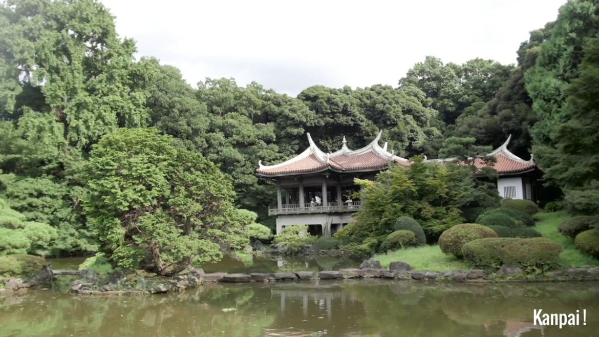 Shinjuku Gyoen, Tokyo (4K)