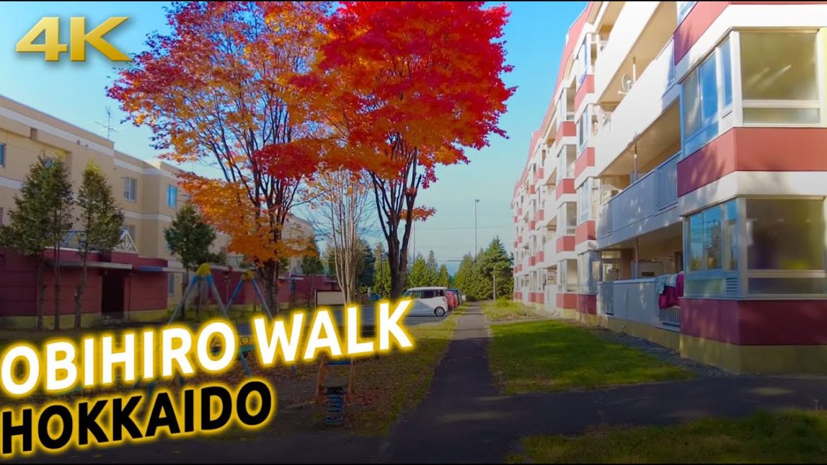 Obihiro (HOKKAIDO) relaxing morning walk [4K 60p]