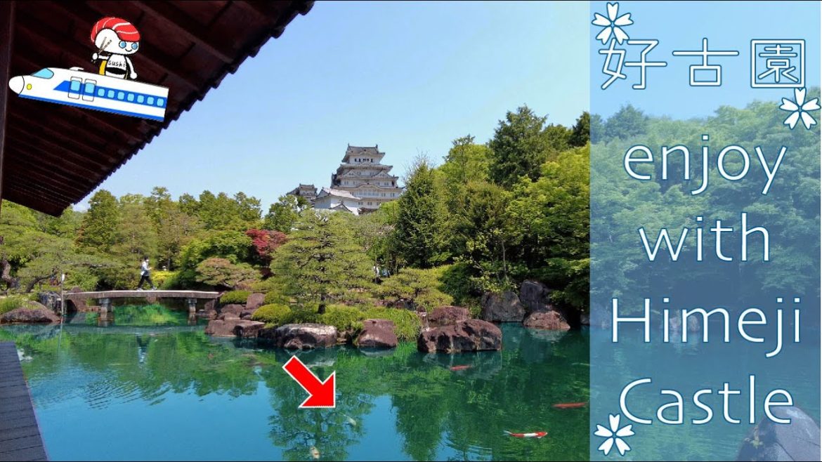 🇯🇵Experience a calming Japanese garden.💫Kokoen, adjacent to Himeji Castle, is amazing.vlog.姫路城 好古園 🇯🇵Experience a calming Japanese garden.💫Kokoen, adjacent to Himeji Castle, is amazing.vlog.姫路城 好古園