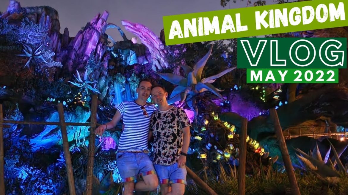 Disney Animal Kingdom First Visit Vlog 2022