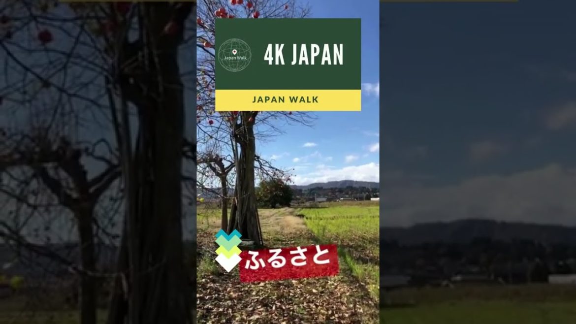 4K Japan Walk -  NIIGATA Ojiya Neighborhood Walking Tour | 新潟小千谷 2021