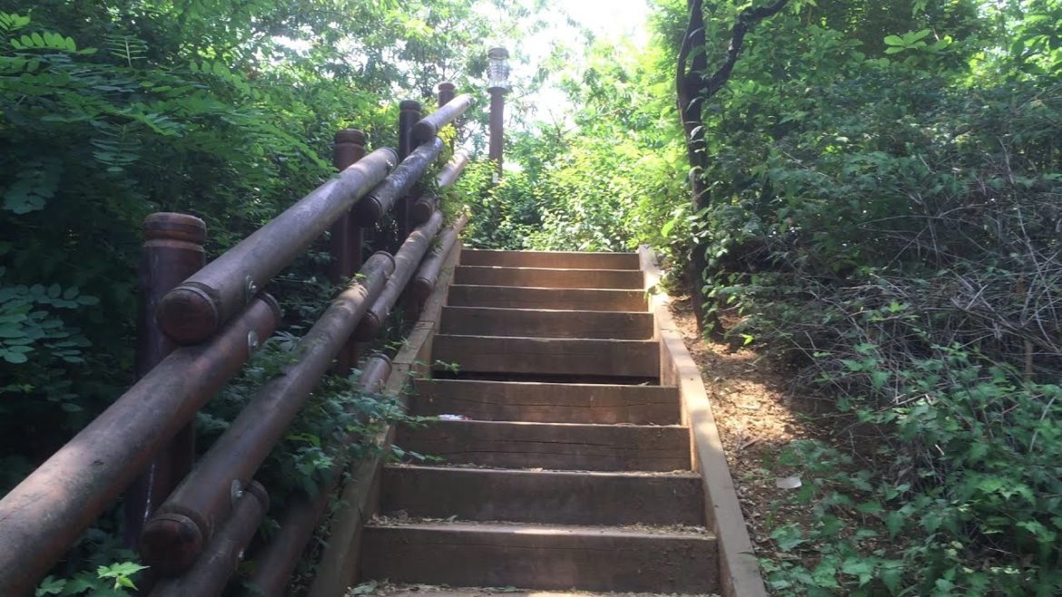 Korea Tour. Seoul Moon Village Ecologic Park in June (revisit) / 서울 목동 달마을 생태 근린공원 6월★ J at Seoul Korea Tour. Seoul Moon Village Ecologic Park in June (revisit) / 서울 목동 달마을 생태 근린공원 6월★ J at Seoul