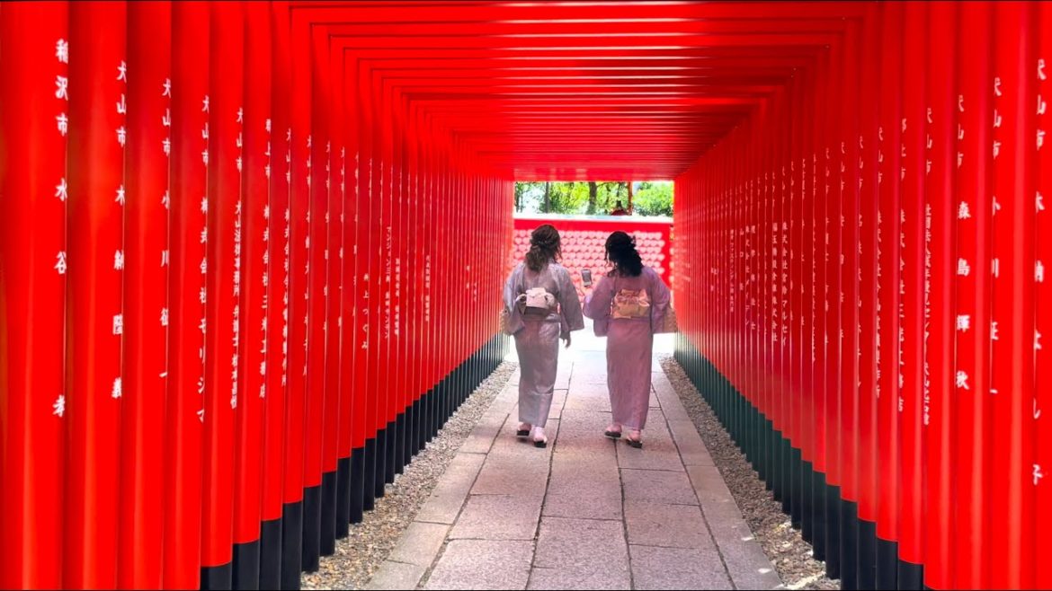 [일본 여행] 이누야마성에 다녀왔습니다 4K HDR JAPAN NAGOYA WALKER