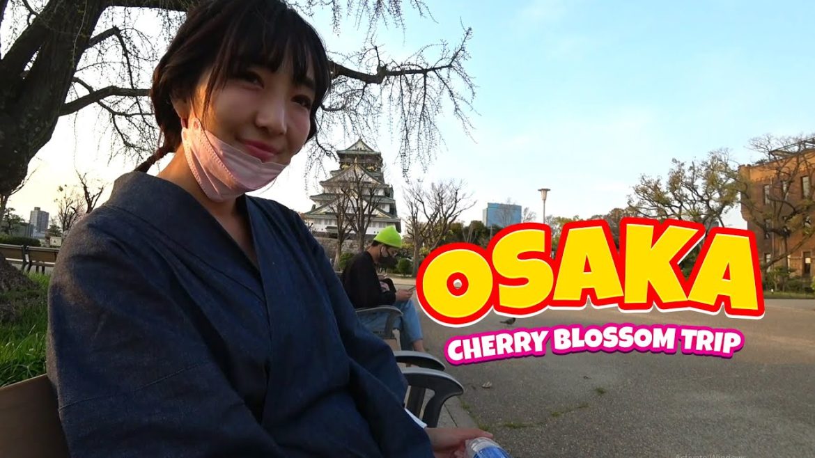 🌸 OSAKA - BOAT TRIP & CHERRY BLOSSOM HANAMI PARTY IN OSAKA CASTLE ~