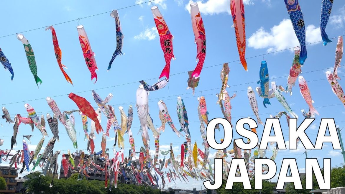 【4K】Koinobori festa & forest walking tour | Osaka, Japan 【4K】Koinobori festa & forest walking tour | Osaka, Japan