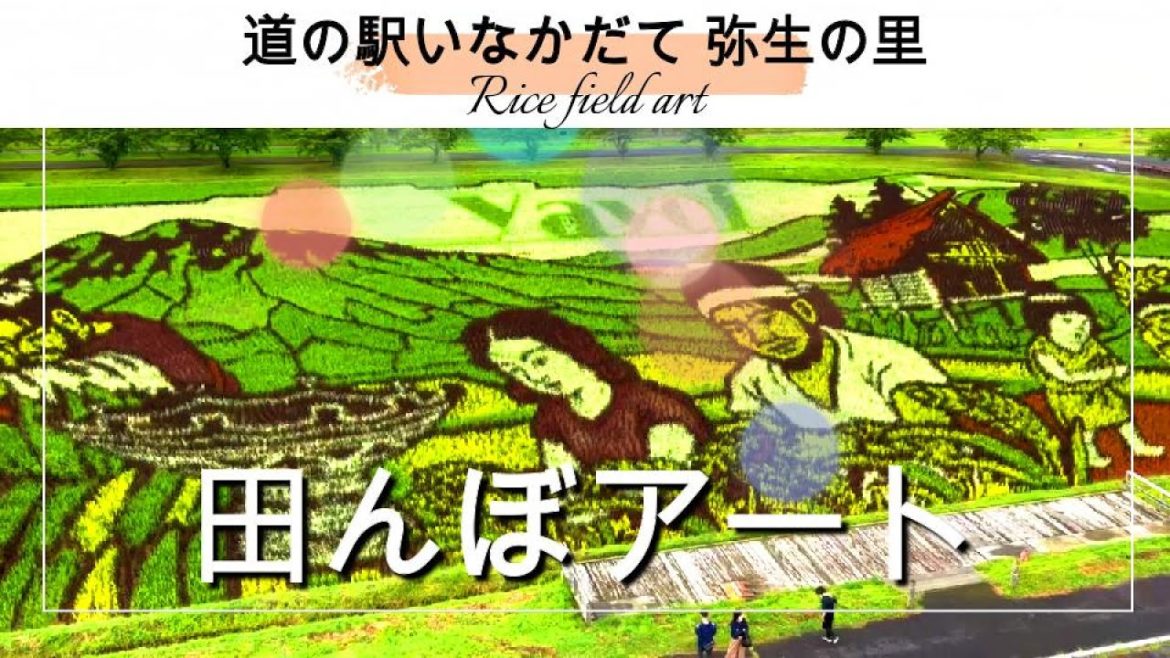 田んぼアート青森県津軽「道の駅いなかだて 弥生の里」Rice field art Tsugaru, Aomori "Roadside Station Inakadate Yayoi no Sato