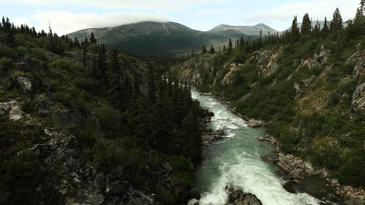 Go North | Princess Cruises