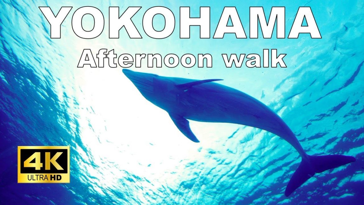 【4K】Yokohama Walking Tour - Yokohama Hakkeijima Sea Paradise