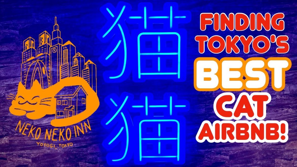 🔴 Finding Tokyo's Newest Cat AirBNB NEKO NEKO INN – Yuka's Early Birthday Surprise! 🔴 Finding Tokyo's Newest Cat AirBNB NEKO NEKO INN - Yuka's Early Birthday Surprise!