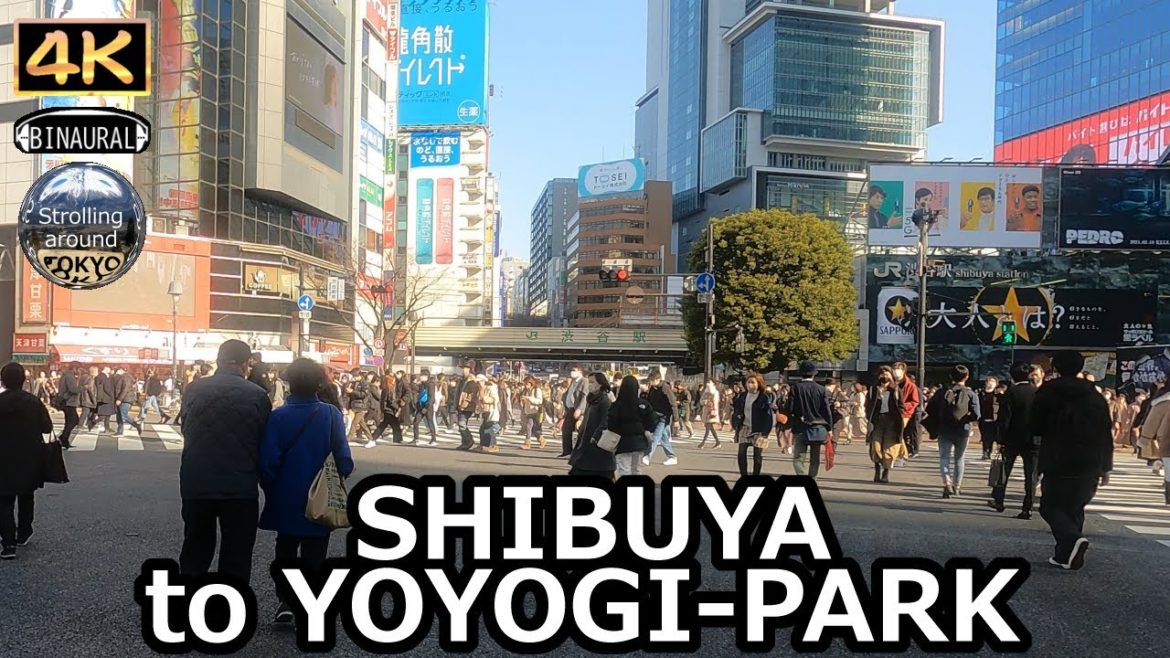 SHIBUYA to YOYOGI-PARK Walking Tour – 4K Tokyo Japan SHIBUYA to YOYOGI-PARK Walking Tour - 4K Tokyo Japan