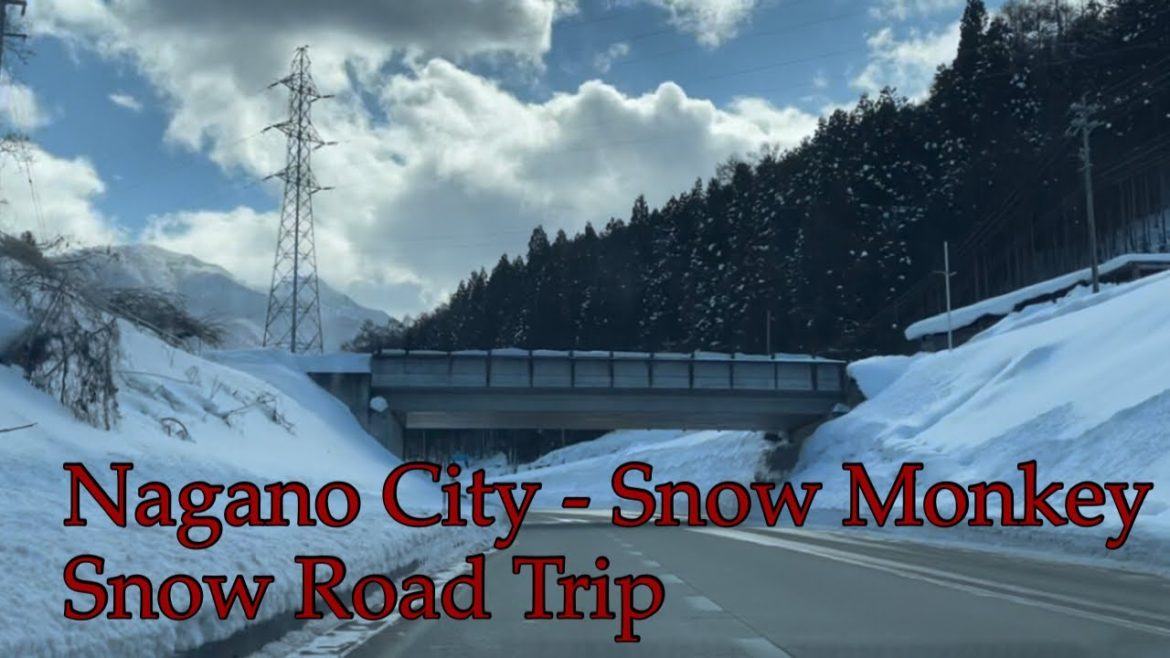 SNOW ROAD TRIP(Nagano City -Snow Monkey) SNOW ROAD TRIP(Nagano City -Snow Monkey)