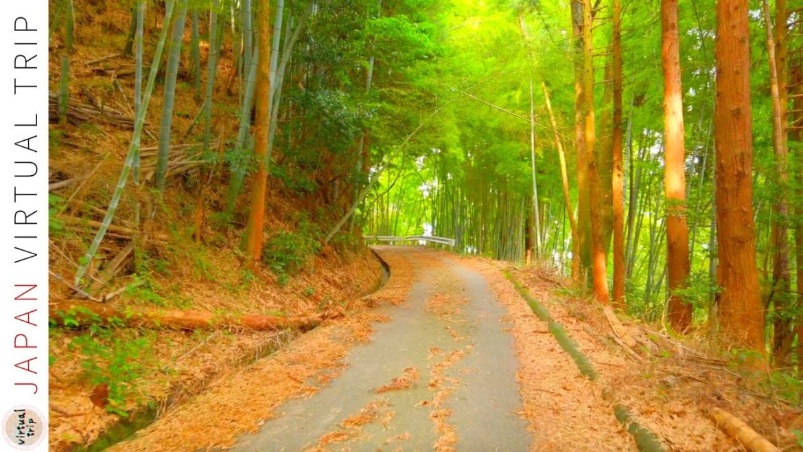 4K Japan Walk - Country Town Walking Tour in Toyama | Japanese House and Rice Field (富山)