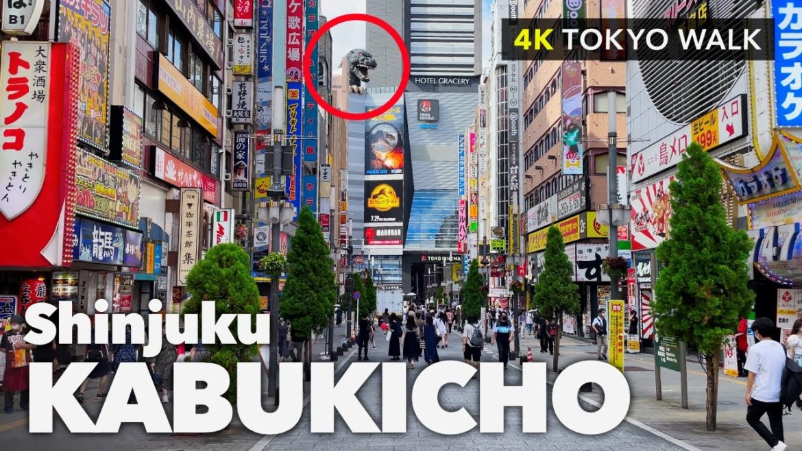 JAPAN 4K TRAVEL|SHINJUKU|Tokyo Walk Tour Kabukicho (ASMR) JAPAN 4K TRAVEL|SHINJUKU|Tokyo Walk Tour Kabukicho (ASMR)