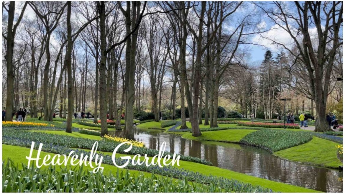 Top 1 Most Beautiful And Heavenly Garden In The World [Keukenhof] Part 4
