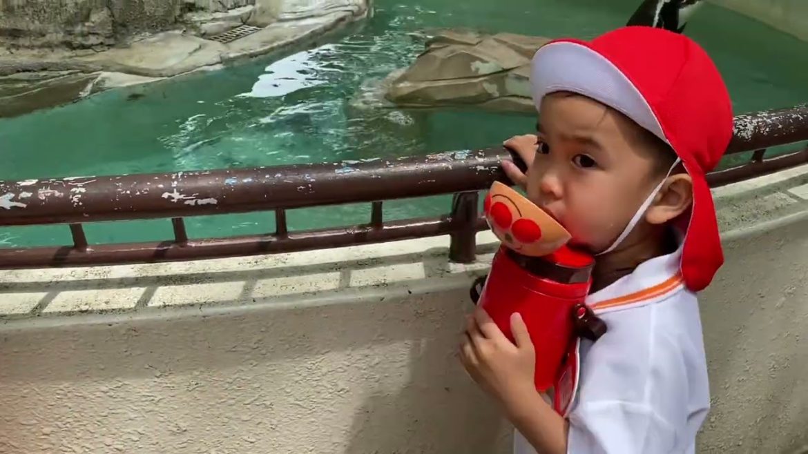 Vlog #13 Sky Kinder Garten Mini Tour at Zoo!