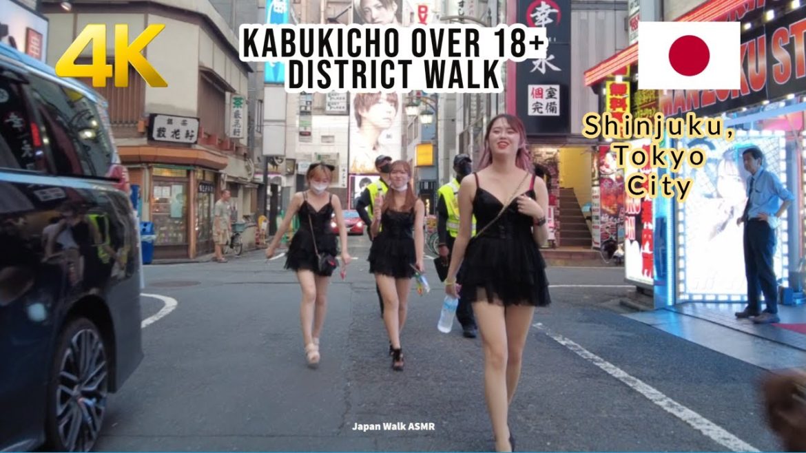 【4K】Japan Walk Kabukicho Shinjuku 18+ Red Light District 歌舞伎町ライブウォーク #japan #kabukicho #tokyowalk 【4K】Japan Walk Kabukicho Shinjuku 18+ Red Light District 歌舞伎町ライブウォーク #japan #kabukicho #tokyowalk
