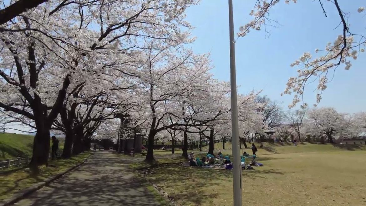 4K Japan Walk –  NIIGATA NAGAOKA Neighborhood Walking Tour | 新潟長岡 2022 4K Japan Walk -  NIIGATA NAGAOKA Neighborhood Walking Tour | 新潟長岡 2022