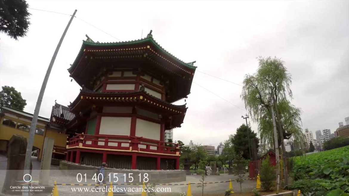 Le voyage de Julie et Elie au Japon