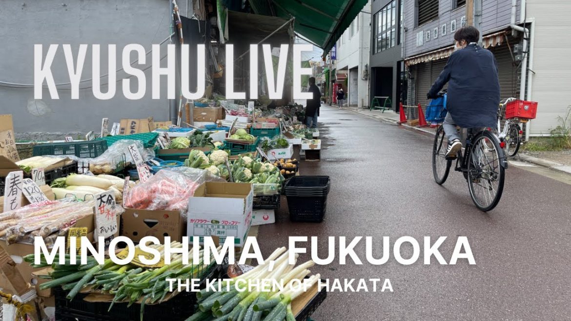 Minoshima, Fukuoka - Shitamachi Walking Tour / 博多の下町、美野島