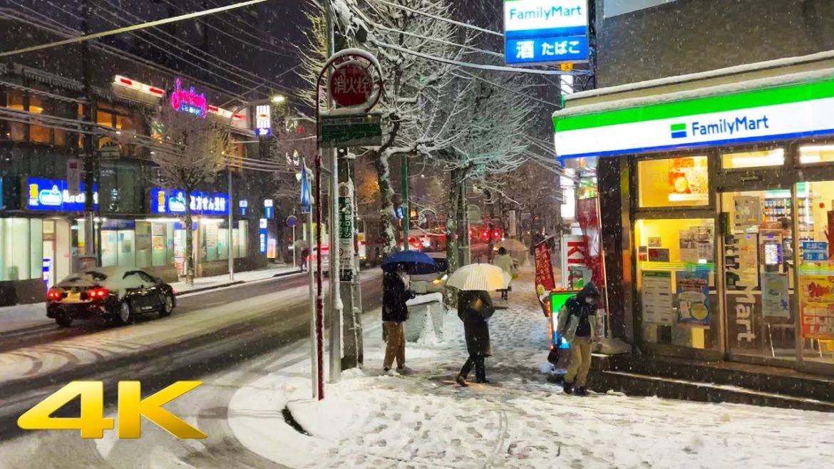 🇯🇵 Heavy Snowfall in Yokohama - Winter 2022, Japan・4K