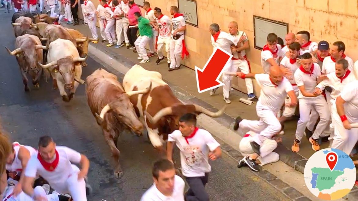 World's Most Dangerous Festival 🏃🐂 San Fermin Festival in Pamplona, Spain 🇪🇸