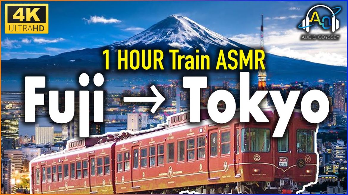 Japanese Trains - MOUNT FUJI to TOKYO (Side View) 1 HOUR for SLEEPING & STUDYING [Relaxing ASMR]