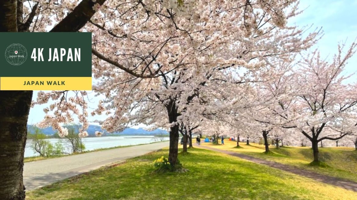 4K Japan Walk –  NIIGATA NAGAOKA Neighborhood Walking Tour | 新潟長岡 2022 4K Japan Walk -  NIIGATA NAGAOKA Neighborhood Walking Tour | 新潟長岡 2022