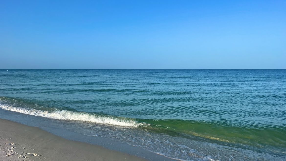 Part 4 of Robb's Thursday Morning Beach Walk in North Naples, FL 07.28.22 Part 4 of Robb's Thursday Morning Beach Walk in North Naples, FL 07.28.22