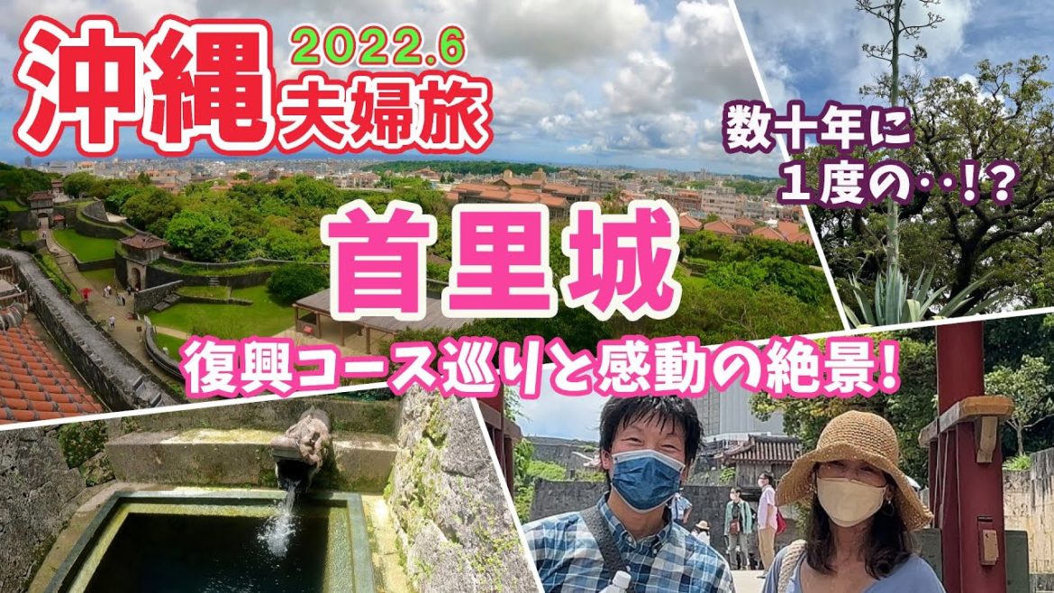 【沖縄旅行】#2 首里城 「見せる復興 見学コース」で観た圧巻の景色と、数十年に一度だけ開花するアオノリュウゼツラン!■2022.6夫婦旅Vlog■ 【沖縄旅行】#2 首里城 「見せる復興 見学コース」で観た圧巻の景色と、数十年に一度だけ開花するアオノリュウゼツラン!■2022.6夫婦旅Vlog■