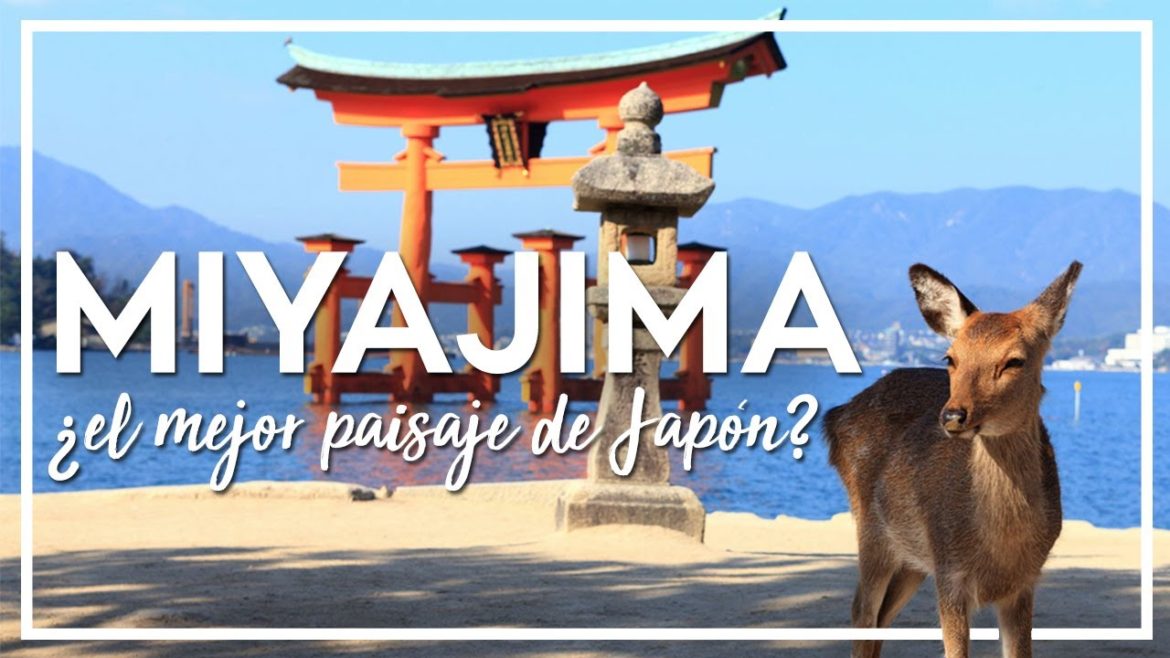 Descubre el MEJOR paisaje de Japón! (?) ⛩️ MIYAJIMA JAPON🦌 | Viajar a Japon Descubre el MEJOR paisaje de Japón! (?) ⛩️ MIYAJIMA JAPON🦌 | Viajar a Japon