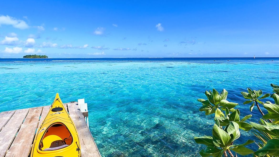 Tropical Island: 4K Bora Bora Ambience & 3 Hours of Ocean Sounds Tropical Island: 4K Bora Bora Ambience & 3 Hours of Ocean Sounds