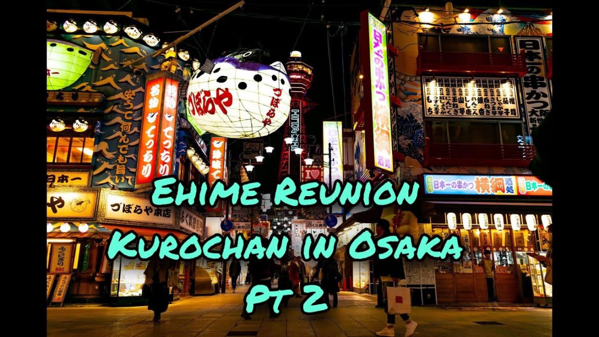 Kurochan in Osaka Pt 2 黒ちゃんとの再会 Kurochan in Osaka Pt 2 黒ちゃんとの再会