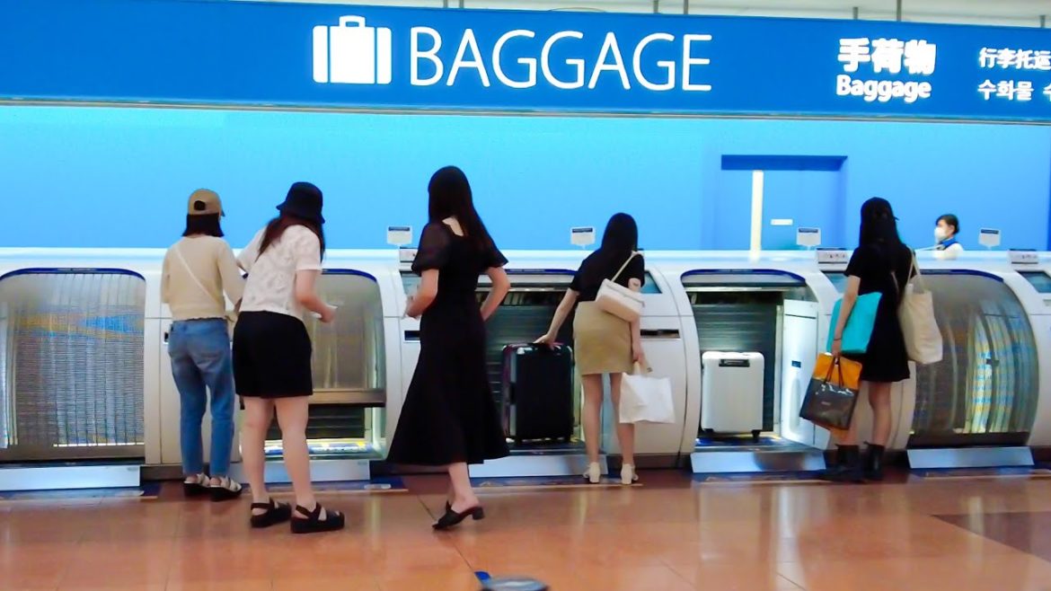 4k:東京散歩|東京国際空港、羽田の7月の様子|TOKYO WALK 4k:東京散歩|東京国際空港、羽田の7月の様子|TOKYO WALK