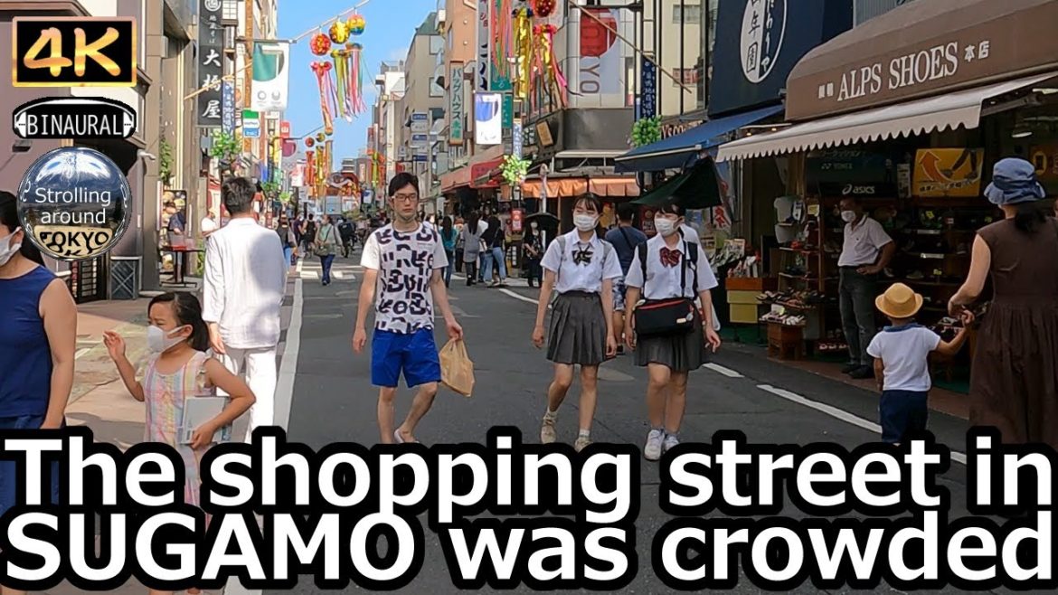 The shopping street in SUGAMO was crowded – 4K Tokyo Japan The shopping street in SUGAMO was crowded - 4K Tokyo Japan
