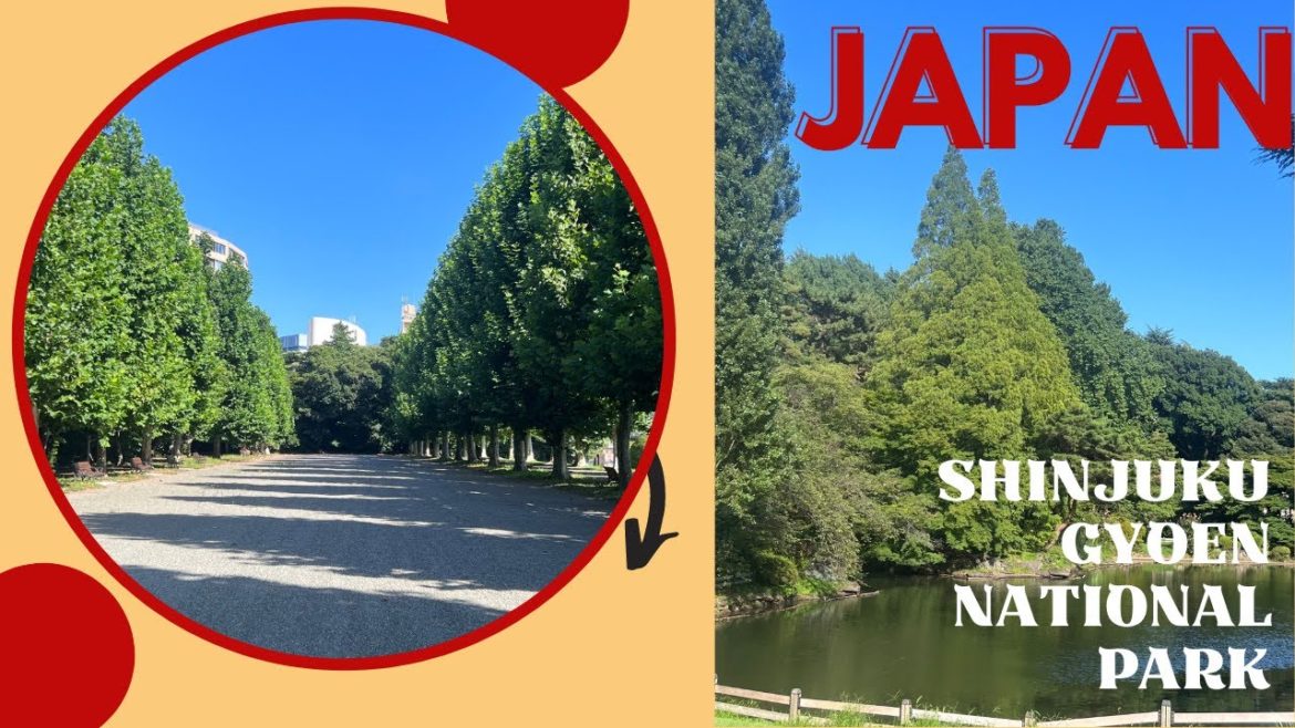 shinjuku  Gyoen national garden|Tokyo|Japan|Green house| shinjuku  Gyoen national garden|Tokyo|Japan|Green house|