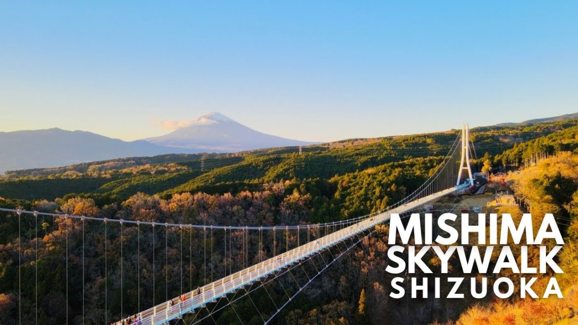 Ziplining at Mishima Skywalk | Japan Travel Guide | Hakone|JNTO Ziplining at Mishima Skywalk | Japan Travel Guide | Hakone|JNTO