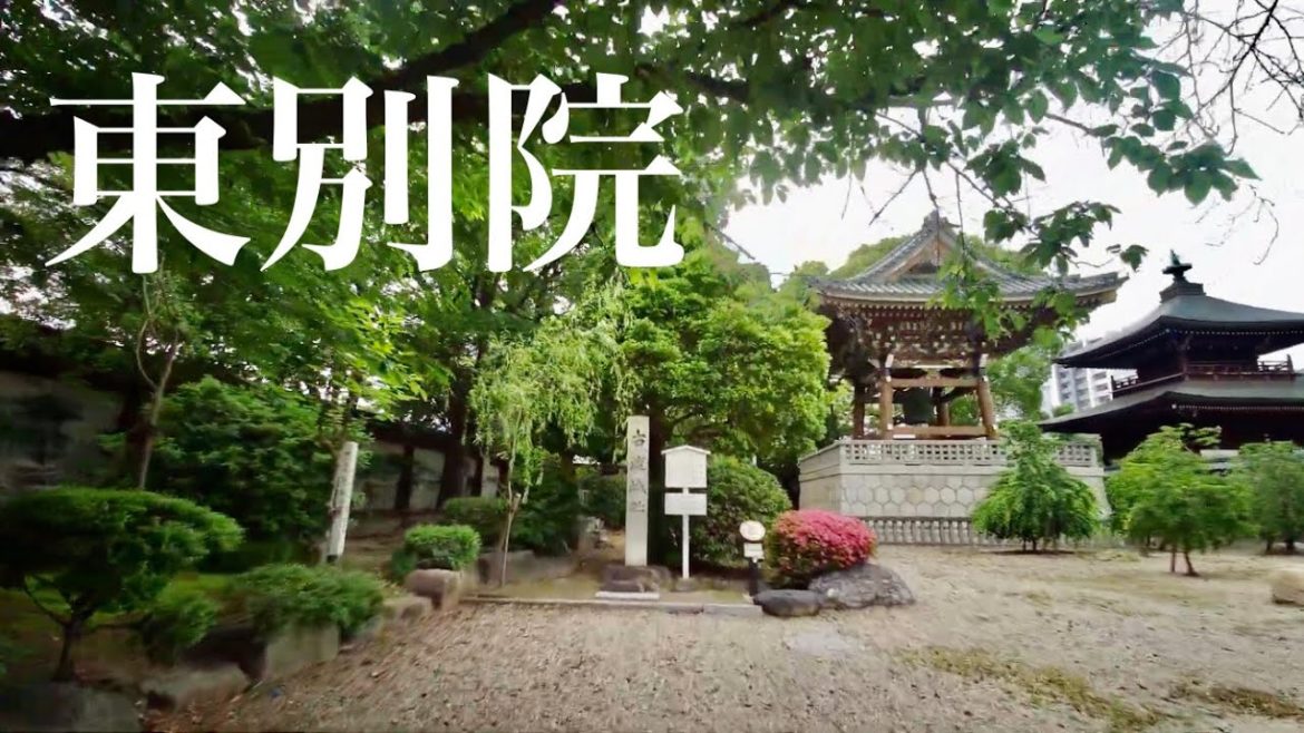 【4K 30p】名古屋の東別院にお参り。真宗大谷派名古屋別院。親鸞聖人の御坊さん。ご利益必至。【Temple in Nagoya】
