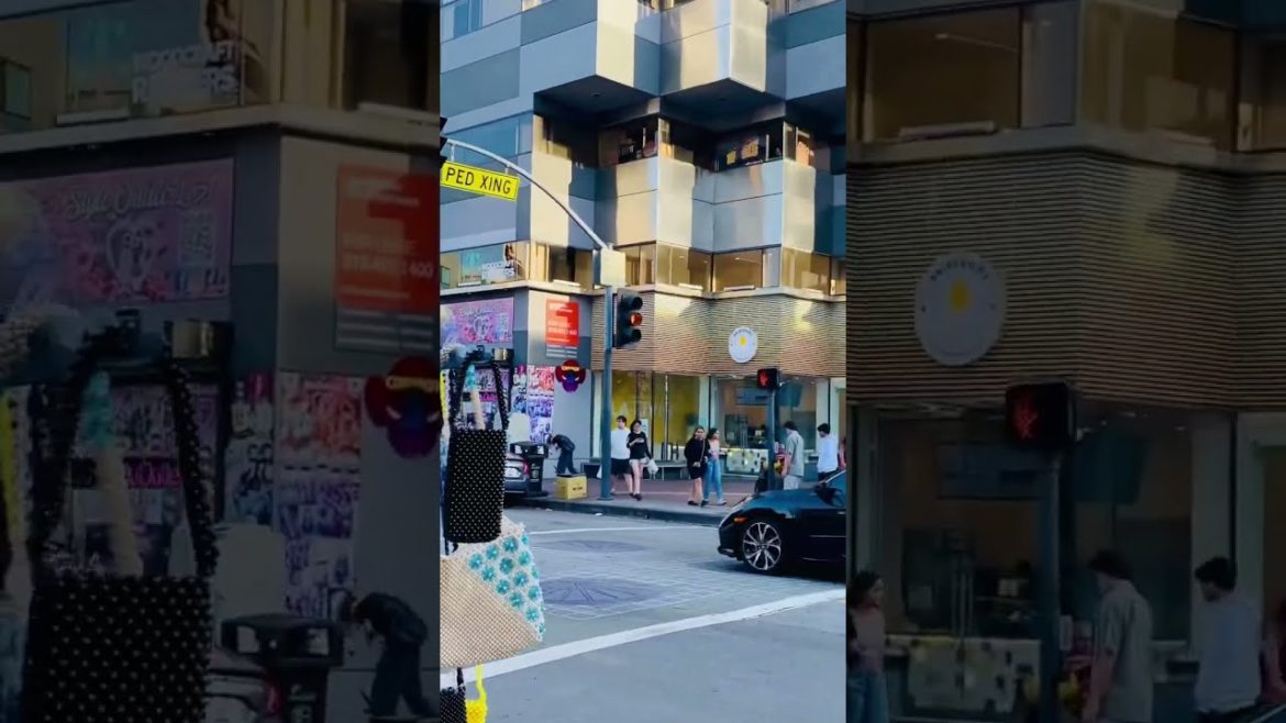 Streets of Tokyo Town 🍣at Japanese Village 🍱#tokyotown #dtla #follow