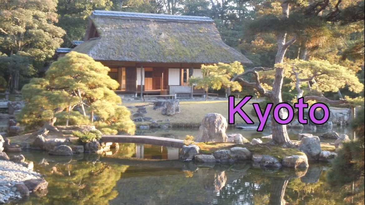 Seasons of Kyoto #kyoto #travel #京都