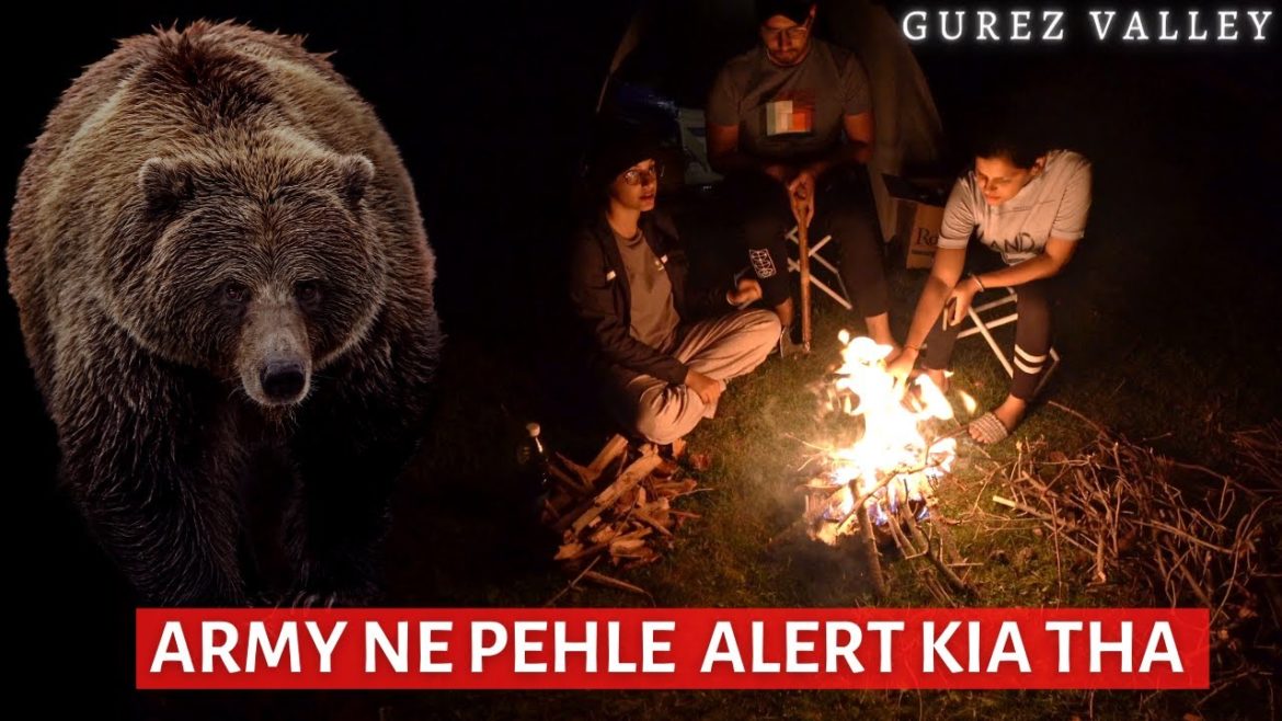 FACING a wild bear at kashmir !! Overnight CAMPING  !! seekwithsagar
