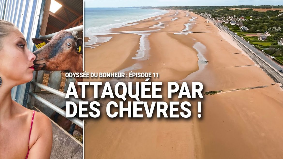 La Normandie c'est fou ! Honfleur, Omaha Beach et..... des chèvres (Ferme D'Eliss)