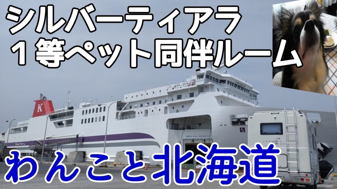 苫小牧港で車中泊 八戸から苫小牧へシルバーティアラ1等ペット同伴室クルーズから登別地獄谷へドライブ観光 北海道車中泊の旅【キャンピングカークレソンボヤージュwith dog】
