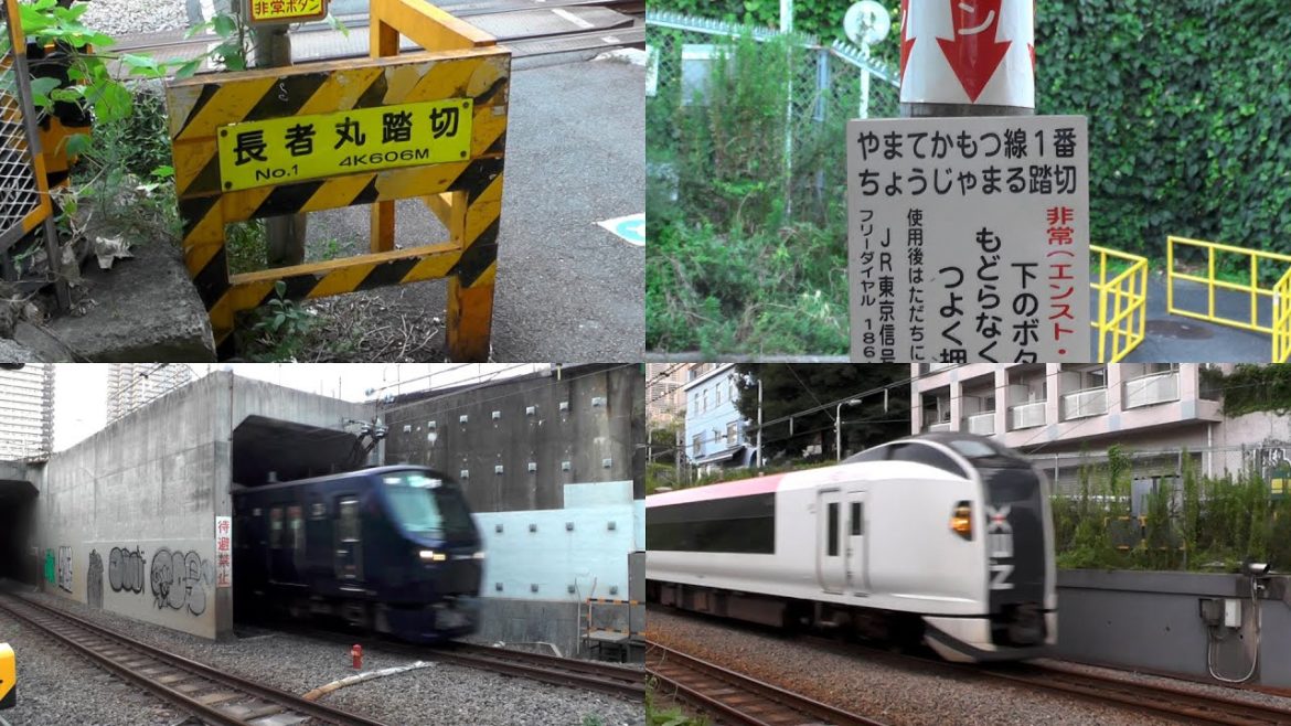 東京都品川区 JR埼京線 湘南新宿ライン 相鉄線直通列車 長者丸踏切を通過する列車たち (山手貨物線)[E231系 E233系 E259系 12000系 70-000系]