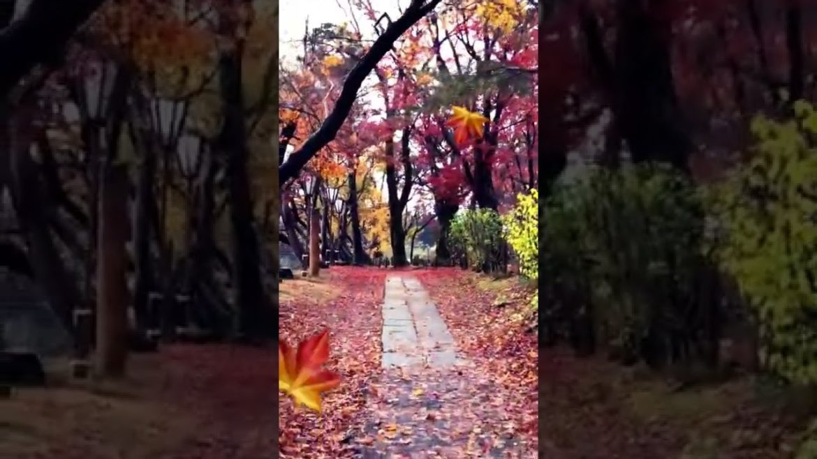 4K Japan Walk -  NIIGATA NAGAOKA Neighborhood Walking Tour | 新潟長岡 2021